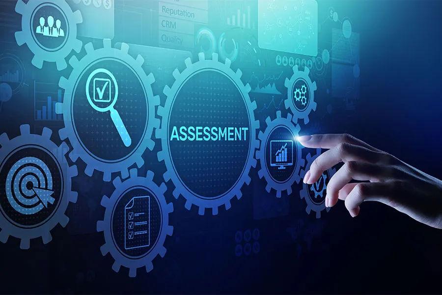 What is Vulnerability Assessment